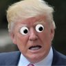 Фото профиля John Yoo Crushes the Testicles of Logic
