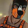 LithePuppy's profile picture