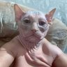 DEEGREE's profile picture