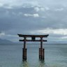 横浜ikkaku ! 的头像