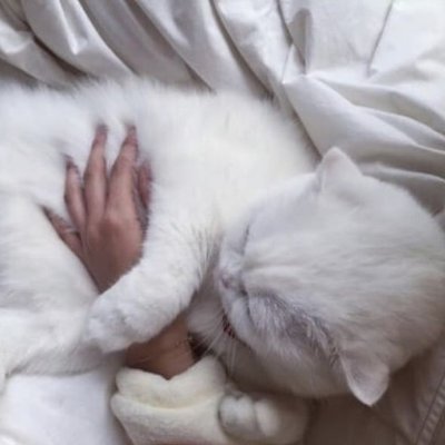 MommysGoodKitty's profile picture