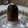 Golu Raaj's profile picture