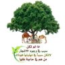 Фото профиля عبدالله البراك ابومحمد