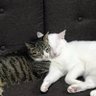 なおんぬ's profile picture