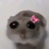 Angel 🌸's profile picture