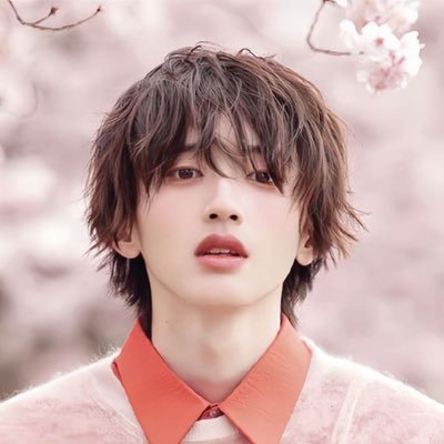 apollowny's profile picture