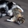 Élena🤫 profil fotoğrafı