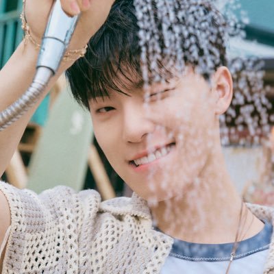 🦈's profile picture