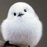 Фото профиля あゆ➰りん