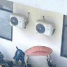 笠 的头像