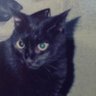 neko kuro profil fotoğrafı