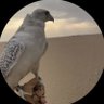 قحطاني عوذلي profil fotoğrafı