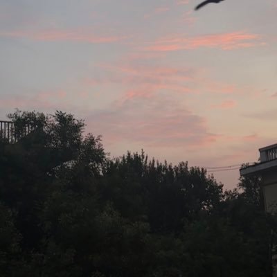 wanwan's profile picture