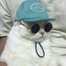 Crispy's profile picture