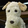 Profilbild von ひこ