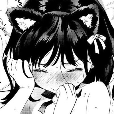 ragdoll's profile picture