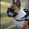 Rigo Roper's profile picture
