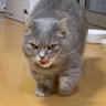 Profilbild von ずっち