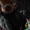 P DON SUM !'s profile picture