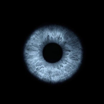 Thefuturespacex's profile picture
