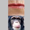 A-Cave-Apes-Lips profil fotoğrafı