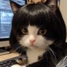 Profilbild von Kang_spill