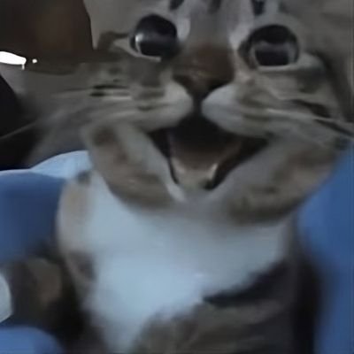 :3's profile picture
