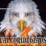 Profilbild von Ocaldeir4💔❄️🦅