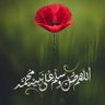 Profilbild von ظافر