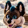 Jarrah's profile picture