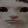 kondou's profile picture