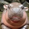 mimseu's profile picture