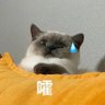 Фото профиля linlang1314