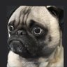 币之道's profile picture