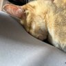 moji 的头像