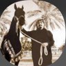 Profilbild von عابر سبيل
