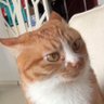 Arwen💜🌟's profile picture