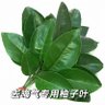 Profilbild von 吾中意影相