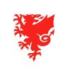 Football fan 的头像