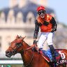 Фото профиля R.G.Horseracing