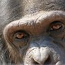 美股OK哥 profil fotoğrafı