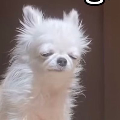 오이's profile picture