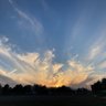 にゃゃゃーすけ🏝️ profil fotoğrafı