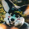 Фото профиля Ekko~ 🐾💙🏳️🌈