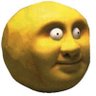 Profilbild von Rako_val
