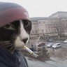 Фото профиля juan(jg)