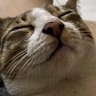vlovez's profile picture