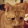Profilbild von toffee