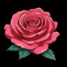 Profilbild von Arizona Rose & Flower Company