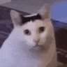 Profilbild von 想要